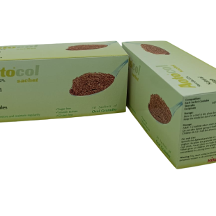 Gut Health Supplement